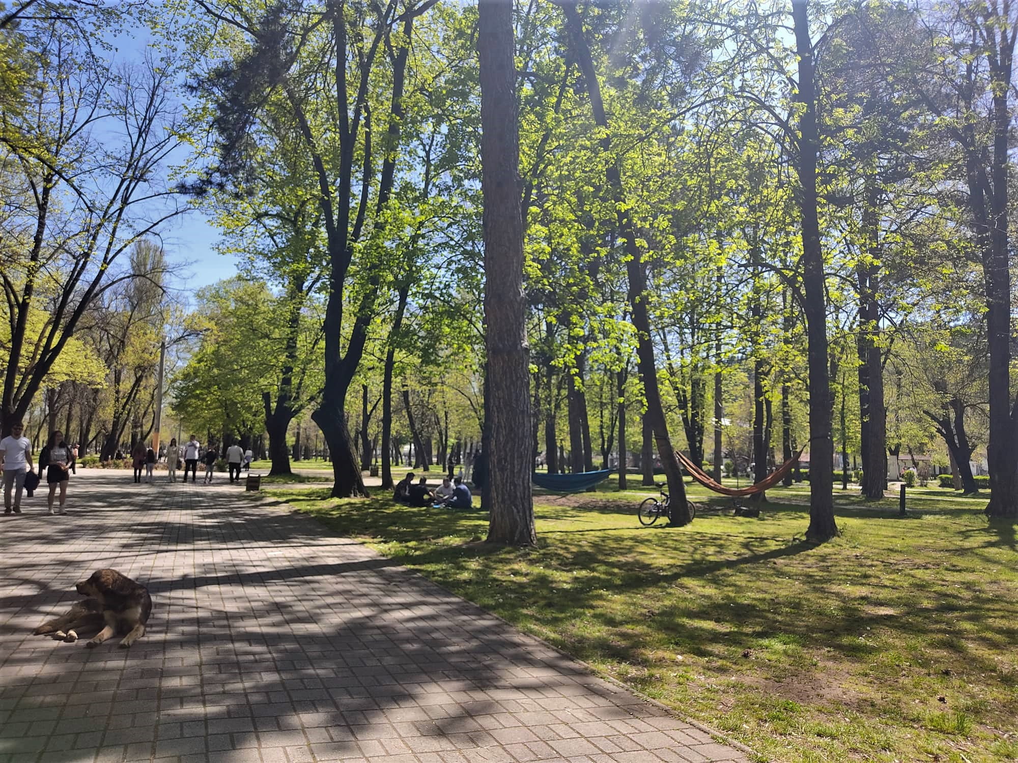 Пријатно велигденско претпладне во градскиот парк во Битола 3 278850416 1153147422171516 8690779072056109621 n