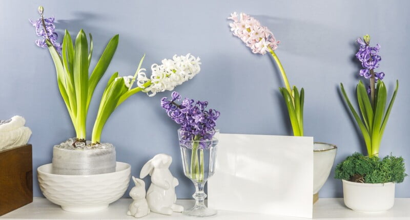 bunny g91967efbd 1280