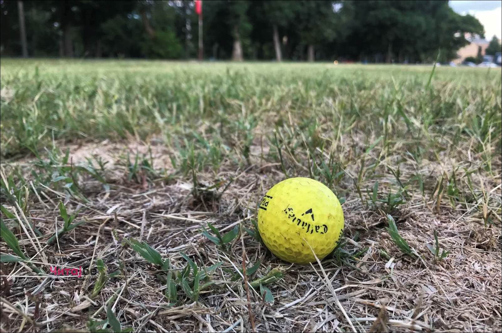 Во Градскиот парк во Битола секое попладне се игра голф 11 Golf Klub Pelister Bitola 6