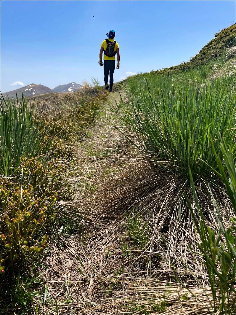 Викендов ќе се одржи Pelister Unique Trail Marathon со над 250 натпреварувачи од 20 земји 11 PUTM 0 2