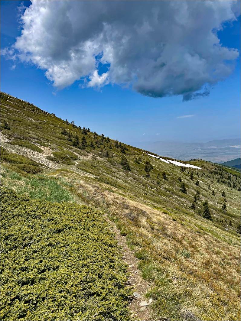 Викендов ќе се одржи Pelister Unique Trail Marathon со над 250 натпреварувачи од 20 земји 10 PUTM 0 3