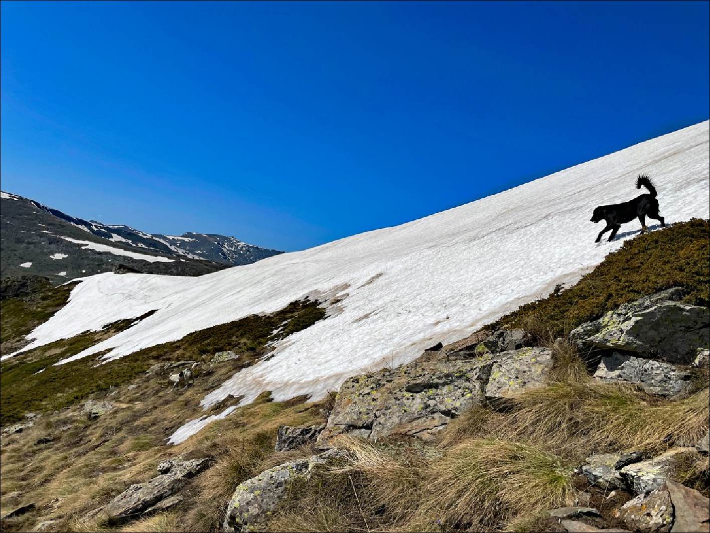 Викендов ќе се одржи Pelister Unique Trail Marathon со над 250 натпреварувачи од 20 земји 9 PUTM 0 4