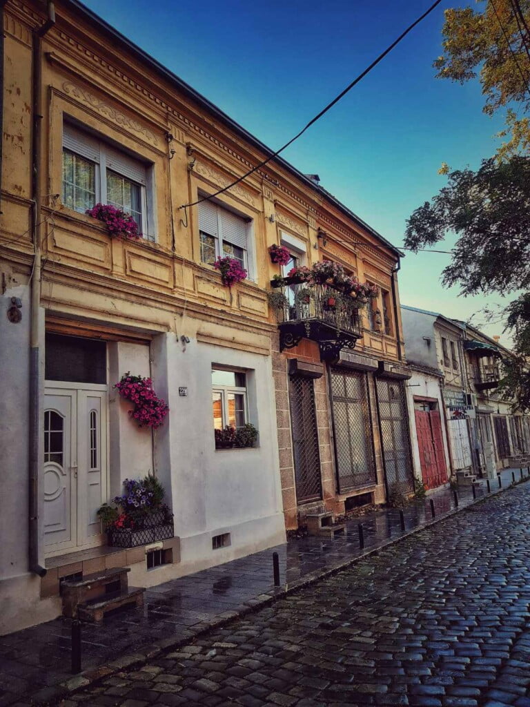 На Старата битолска чаршија ѝ фали малку повеќе душа и хортикултурно уредување - со Павлина Василевска, сопственик на дуќан 10 viber image 2022 06 07 20 44 16 145