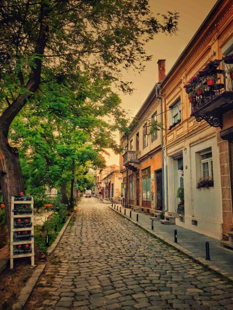 На Старата битолска чаршија ѝ фали малку повеќе душа и хортикултурно уредување - со Павлина Василевска, сопственик на дуќан 9 viber image 2022 06 07 20 44 23 583