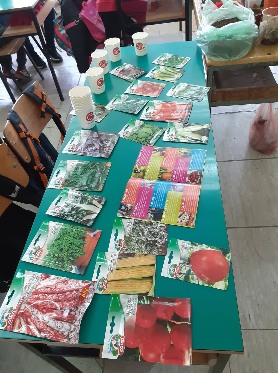 Тикви, домати, пченка во училишната градина на ООУ „Елпида Караманди“ Битола ќе ги пречекаат учениците кои ги засадија 7 277456609 539137920978156 5217658910300597389 n