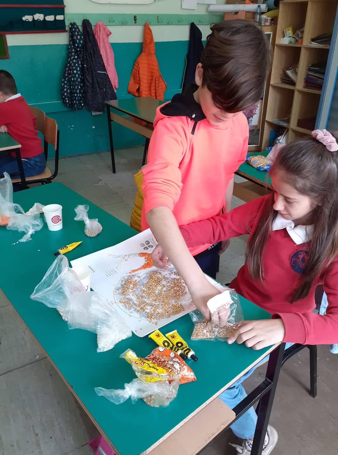 Тикви, домати, пченка во училишната градина на ООУ „Елпида Караманди“ Битола ќе ги пречекаат учениците кои ги засадија 38 277593864 470688461511840 1712903635495595421 n