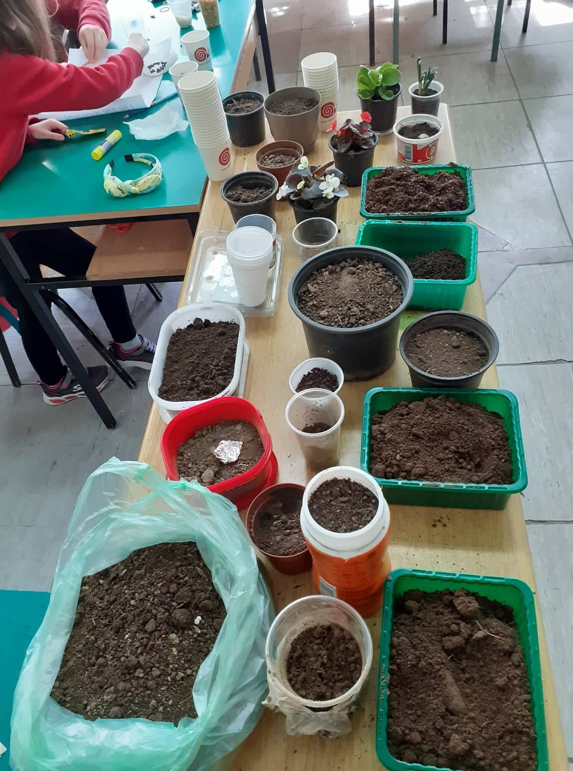 Тикви, домати, пченка во училишната градина на ООУ „Елпида Караманди“ Битола ќе ги пречекаат учениците кои ги засадија 6 277834538 398700348442231 5444142393123813176 n