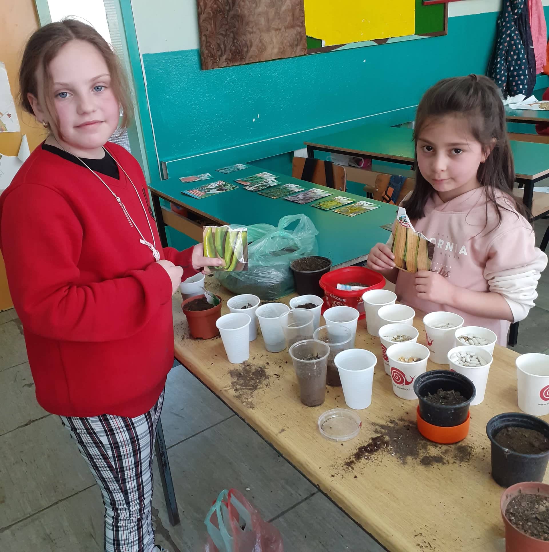 Тикви, домати, пченка во училишната градина на ООУ „Елпида Караманди“ Битола ќе ги пречекаат учениците кои ги засадија 25 277846062 1163339874415069 393921682863533022 n