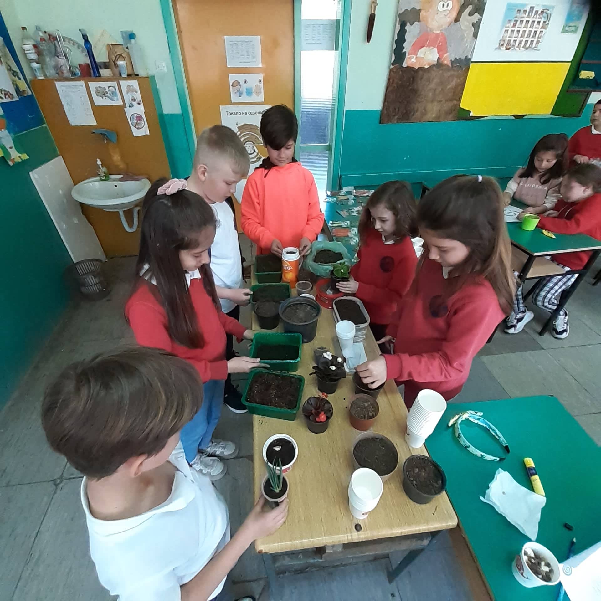 Тикви, домати, пченка во училишната градина на ООУ „Елпида Караманди“ Битола ќе ги пречекаат учениците кои ги засадија 33 277899912 5031120923676073 4134949310527180418 n 1