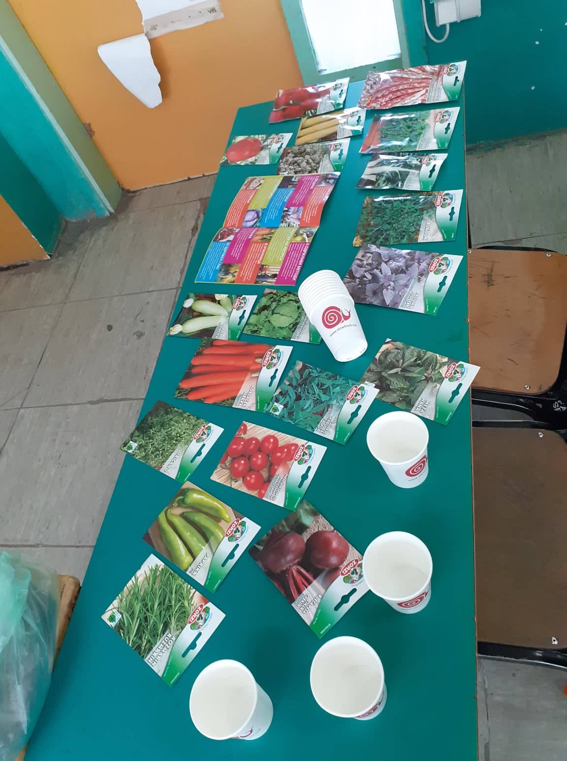 Тикви, домати, пченка во училишната градина на ООУ „Елпида Караманди“ Битола ќе ги пречекаат учениците кои ги засадија 36 277917986 355410039878988 2964660209453058734 n