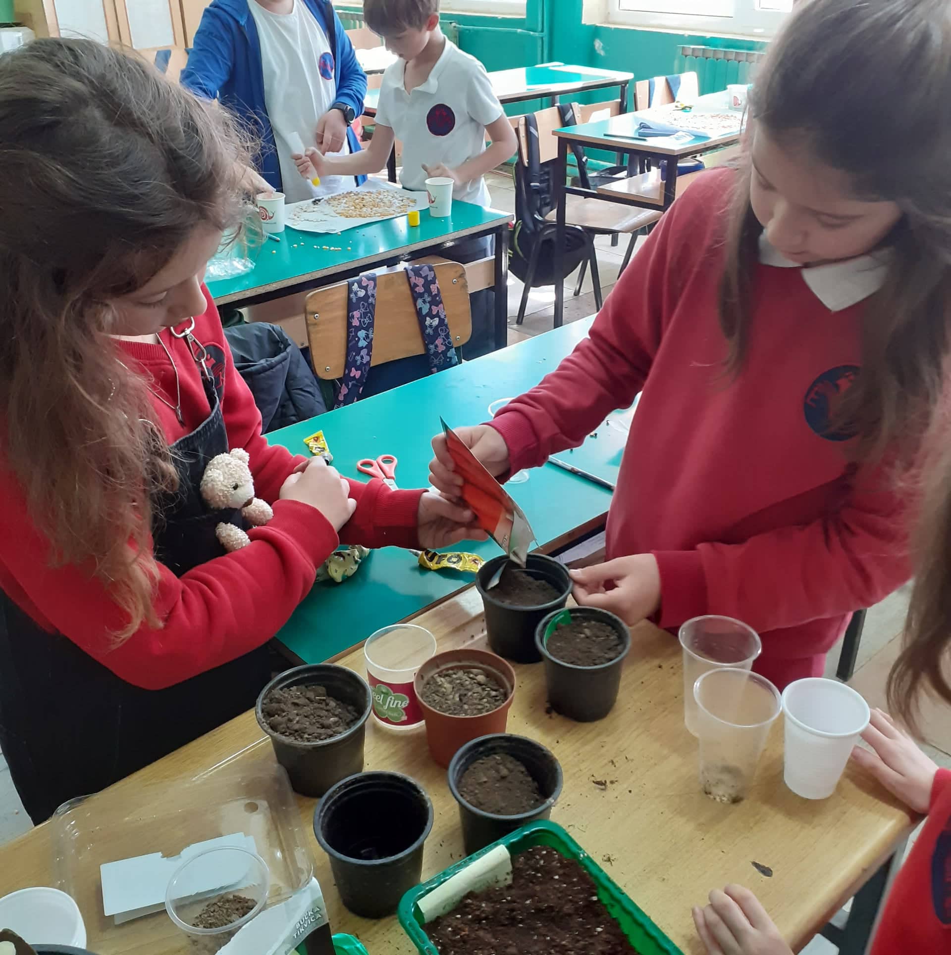 Тикви, домати, пченка во училишната градина на ООУ „Елпида Караманди“ Битола ќе ги пречекаат учениците кои ги засадија 27 278005974 1556132908113746 2105412813695806021 n