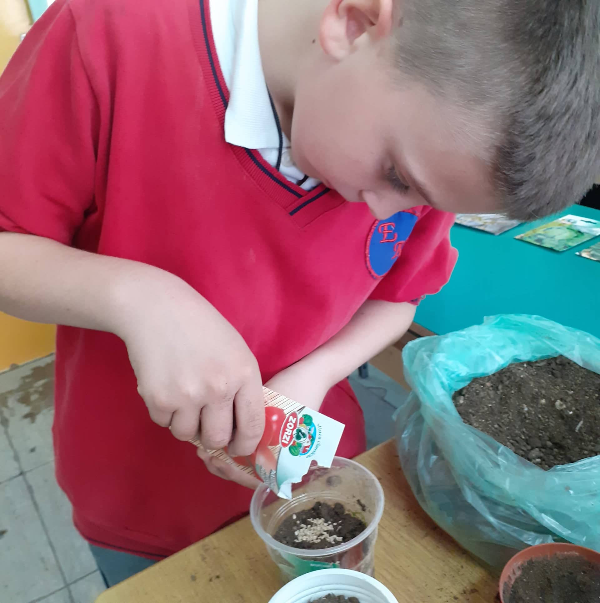 Тикви, домати, пченка во училишната градина на ООУ „Елпида Караманди“ Битола ќе ги пречекаат учениците кои ги засадија 26 278137794 353865480121393 5635523560473697133 n