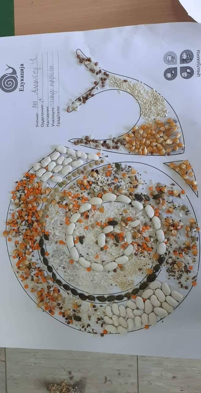 Тикви, домати, пченка во училишната градина на ООУ „Елпида Караманди“ Битола ќе ги пречекаат учениците кои ги засадија 20 278264586 350708123769260 2408734553565928376 n