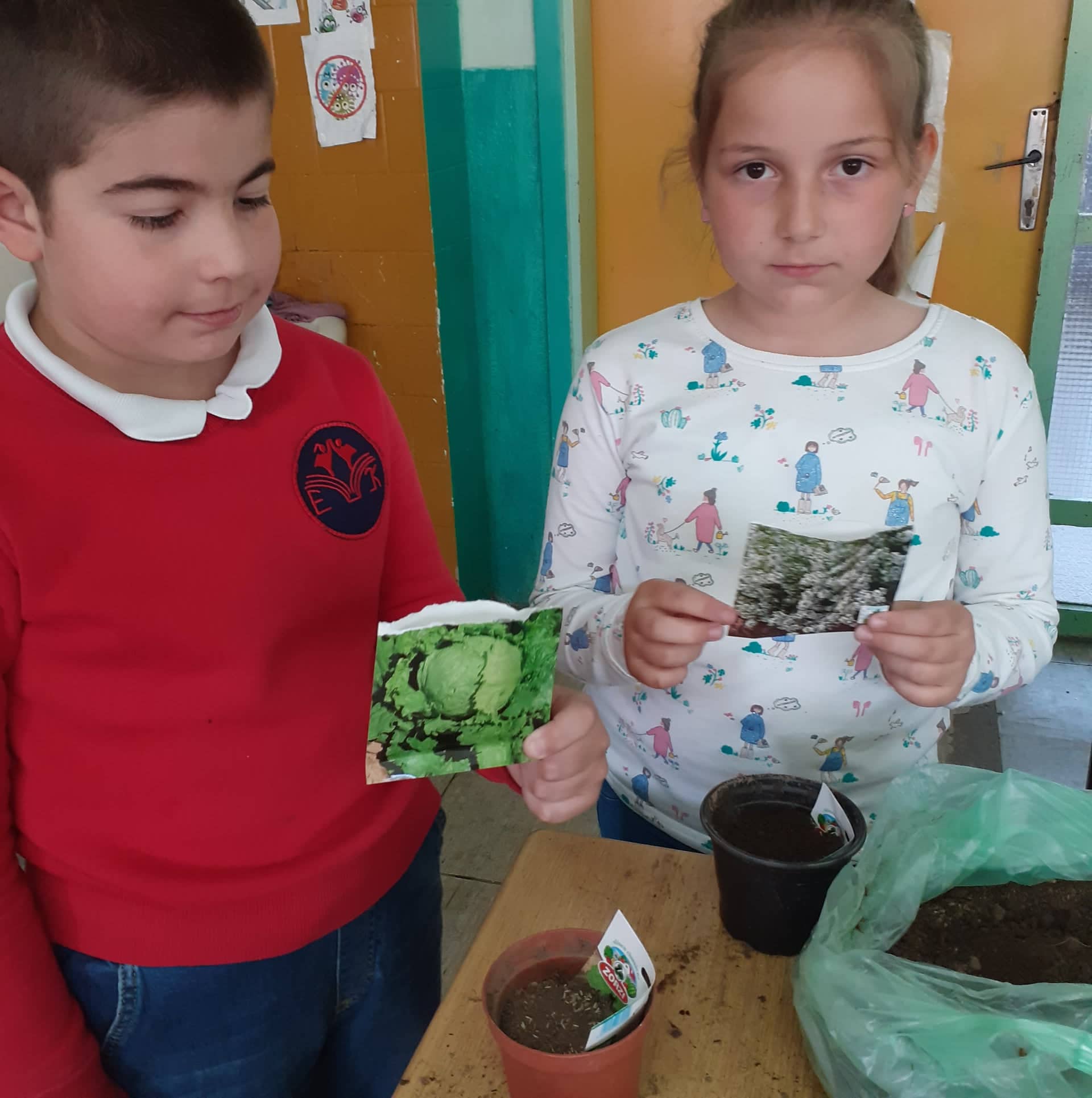 Тикви, домати, пченка во училишната градина на ООУ „Елпида Караманди“ Битола ќе ги пречекаат учениците кои ги засадија 24 278580252 670964117292377 3270838136633461814 n