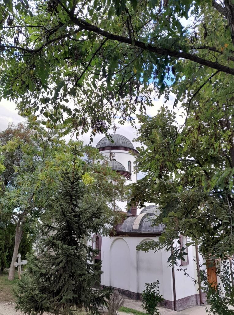 Писателот Владимир Костов, роден битолчанец, денеска го слави 90 роденден 5 307590856 651858049541693 8935362840464804350 n