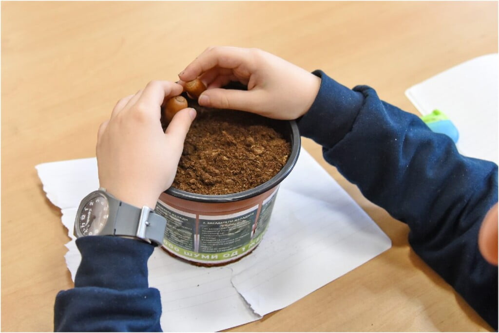 „1000 шуми од 1 желад" - еколошка акција на платформата ЗЕМИ ЗДИВ 6 1000 шуми од 1 желад 12