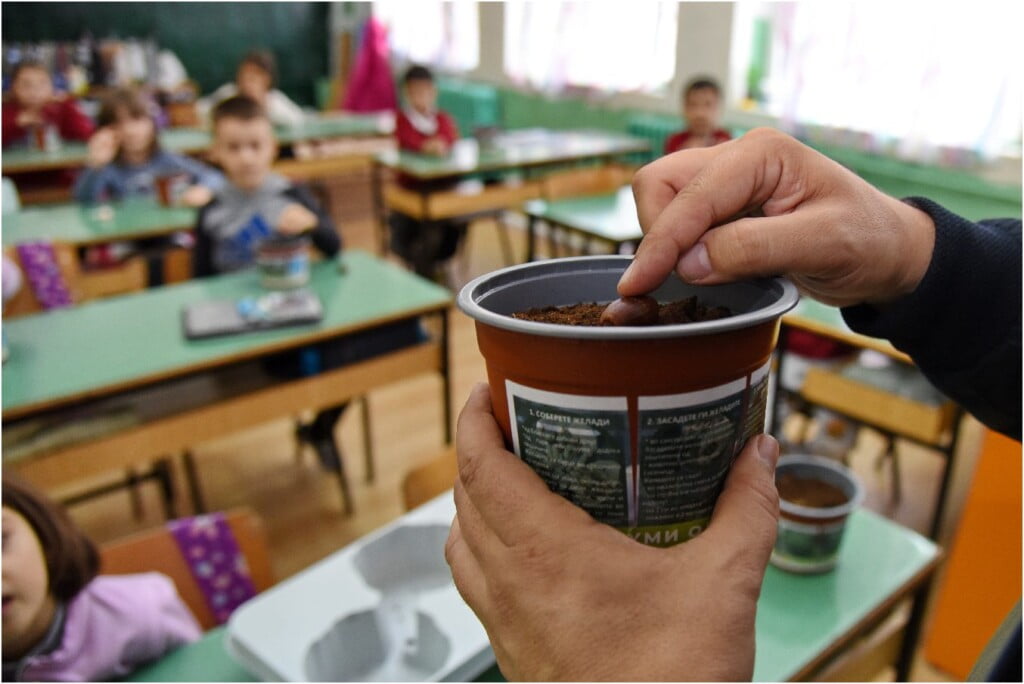 „1000 шуми од 1 желад" - еколошка акција на платформата ЗЕМИ ЗДИВ 16 1000 шуми од 1 желад 19