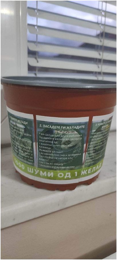 „1000 шуми од 1 желад" - еколошка акција на платформата ЗЕМИ ЗДИВ 21 1000 шуми од 1 желад 2