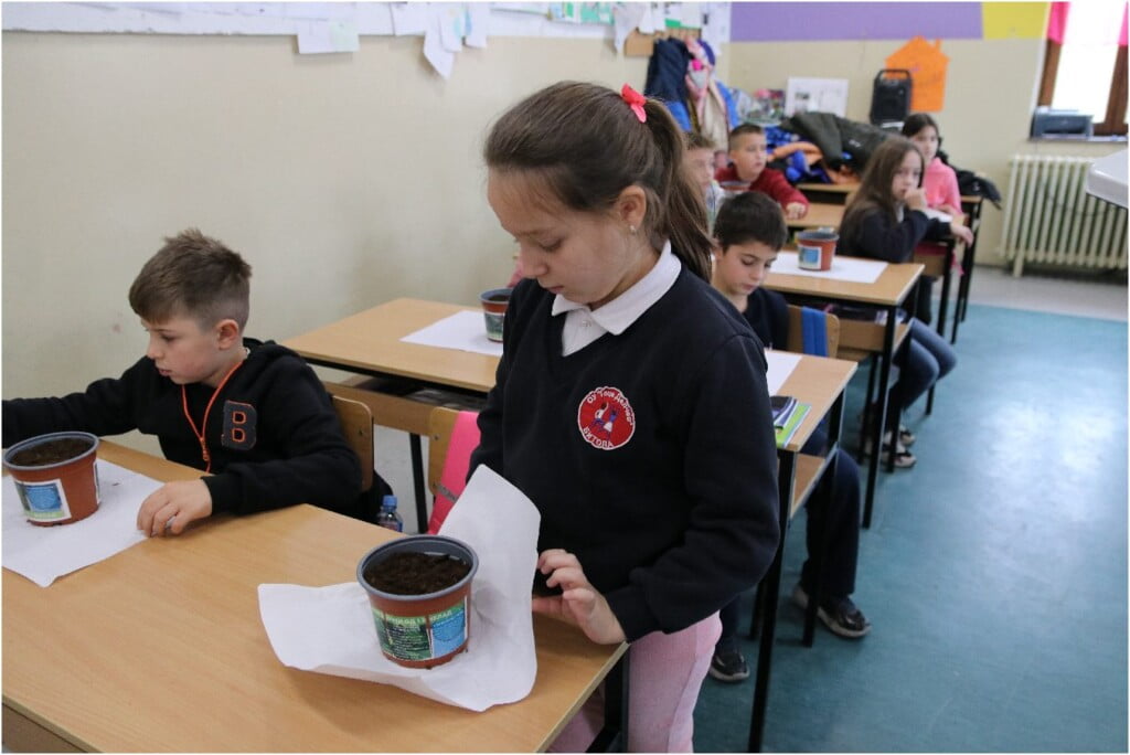 „1000 шуми од 1 желад" - еколошка акција на платформата ЗЕМИ ЗДИВ 22 1000 шуми од 1 желад 23