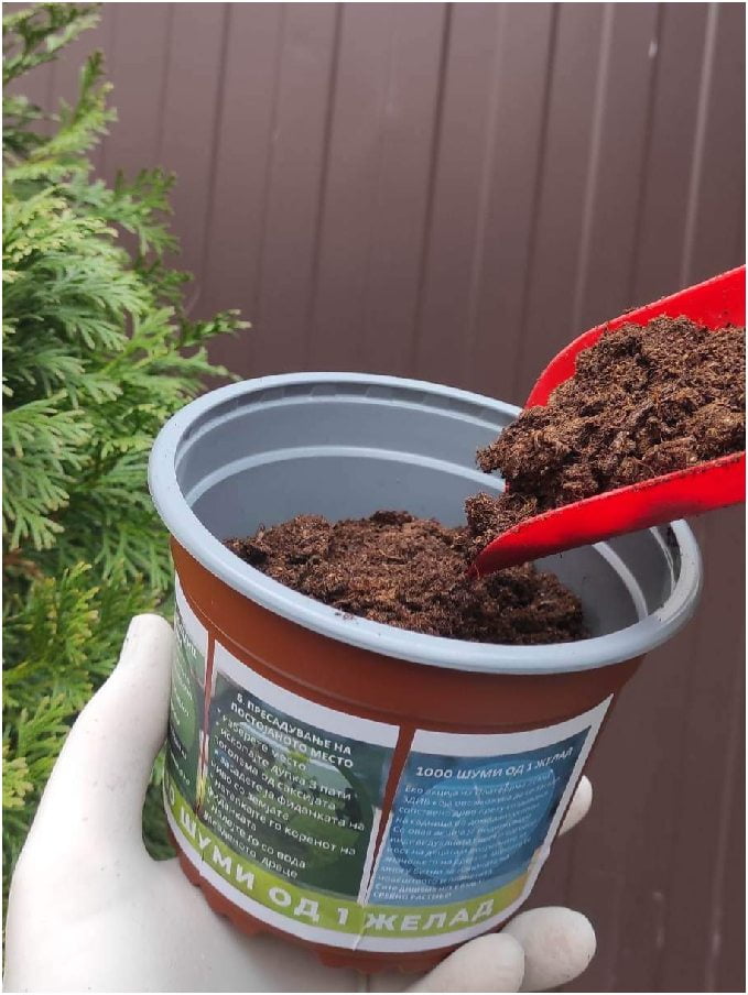 „1000 шуми од 1 желад" - еколошка акција на платформата ЗЕМИ ЗДИВ 14 1000 шуми од 1 желад 24