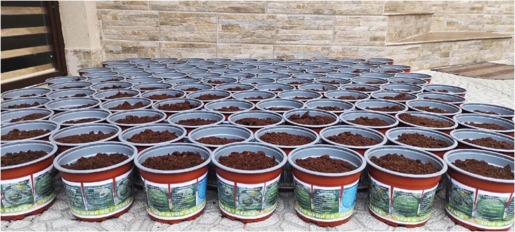 „1000 шуми од 1 желад" - еколошка акција на платформата ЗЕМИ ЗДИВ 10 1000 шуми од 1 желад 25