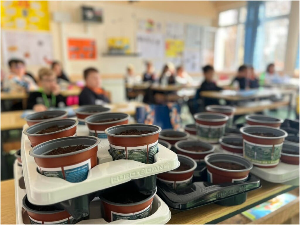 „1000 шуми од 1 желад" - еколошка акција на платформата ЗЕМИ ЗДИВ 13 1000 шуми од 1 желад 6