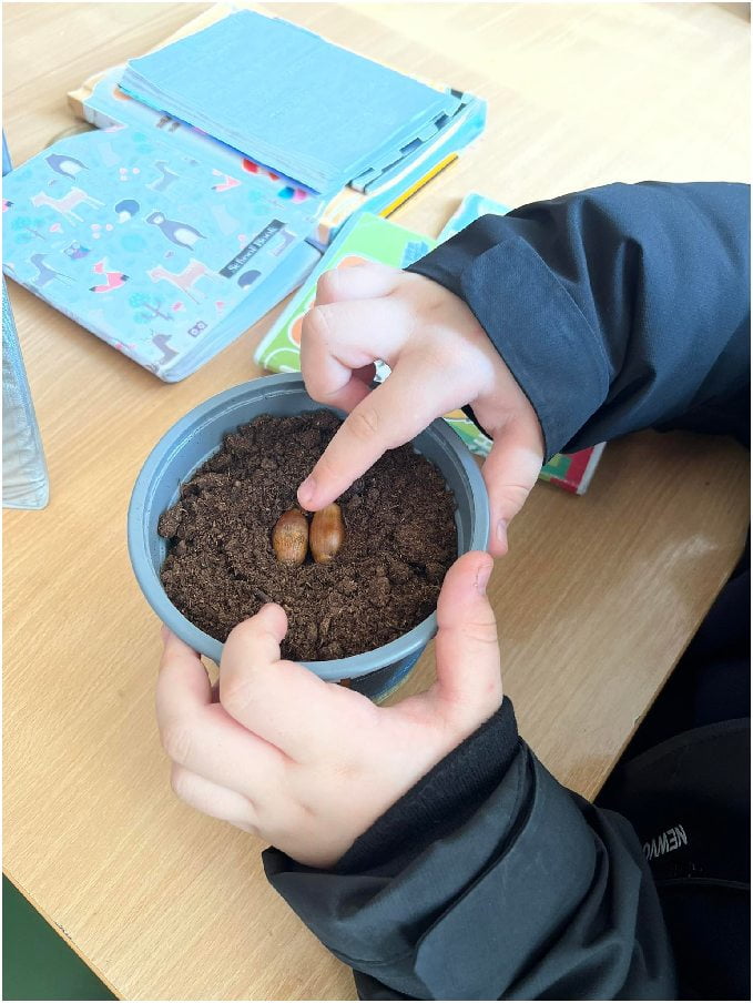 „1000 шуми од 1 желад" - еколошка акција на платформата ЗЕМИ ЗДИВ 26 1000 шуми од 1 желад 8