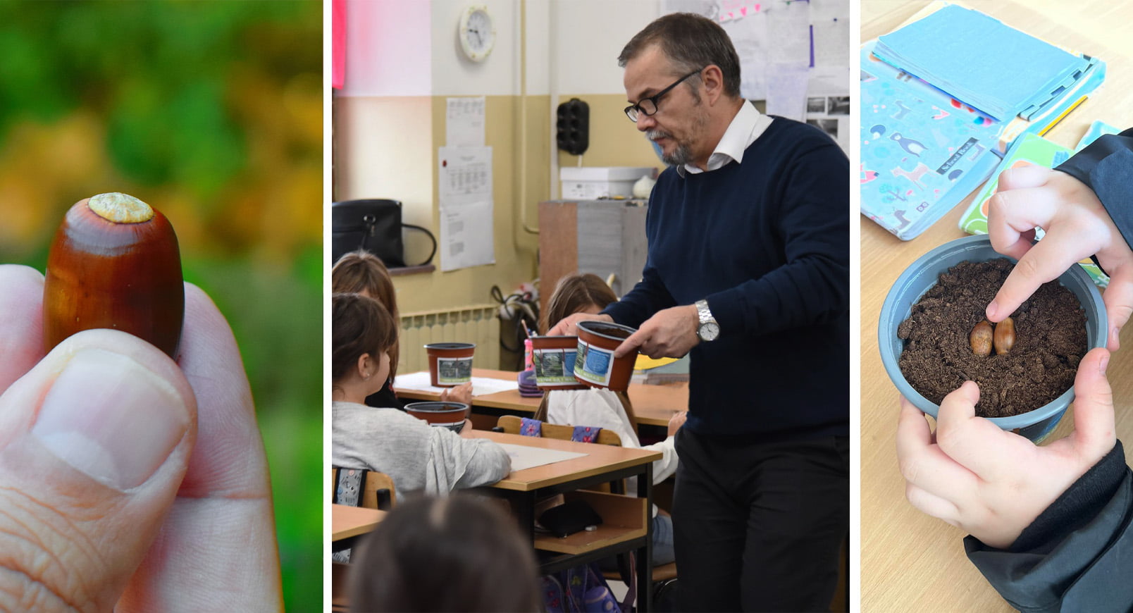 „1000 шуми од 1 желад" - еколошка акција на платформата ЗЕМИ ЗДИВ 1 1000 шуми од 1 желад насловна