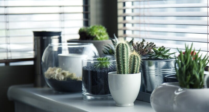 pots g2e1991084 1280