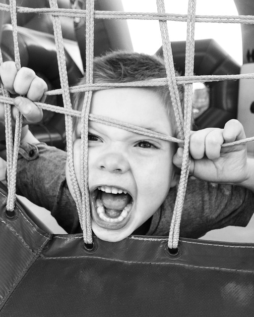 Колумна на Елена Михајловска: Децата – родители, родителите – деца 3 boy 3617648 640