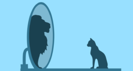 Како неспособните ги преценуваат сопствените способности - Данинг-Кругеров ефект 33