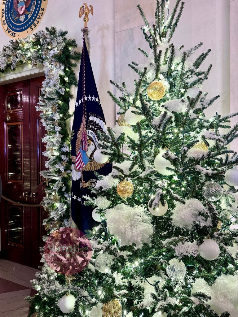Ексклузивна репортажа на Читај бе - Божиќната магија во Белата куќа во Вашингтон 14 ivan