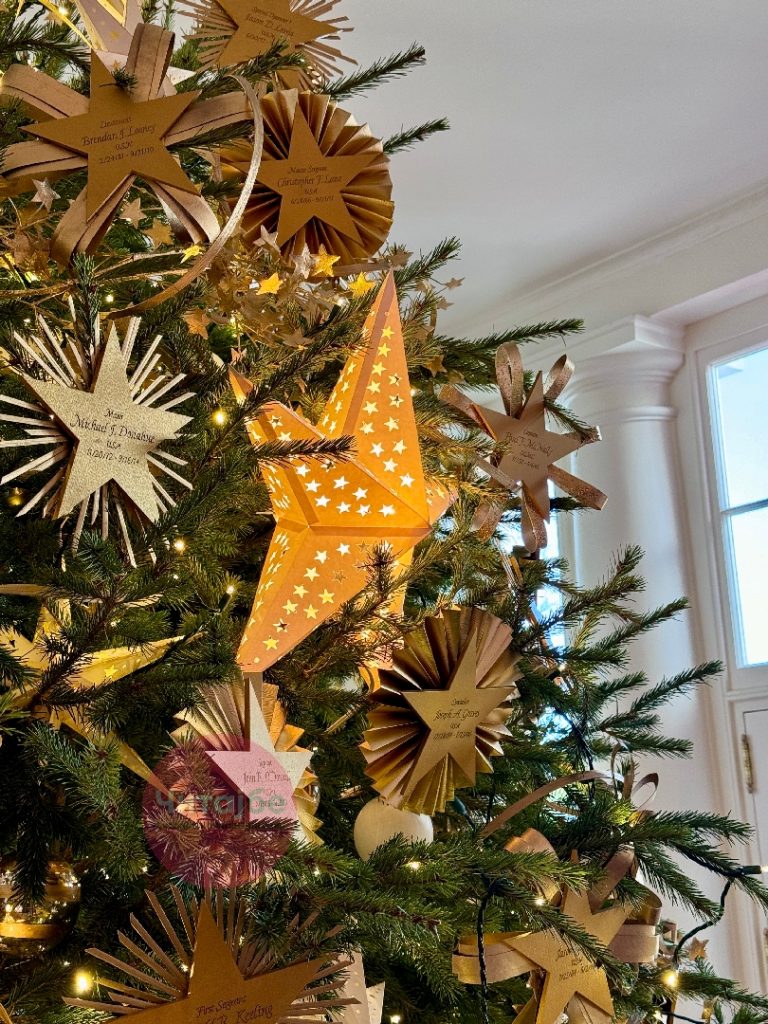 Ексклузивна репортажа на Читај бе - Божиќната магија во Белата куќа во Вашингтон 9 ivan 14