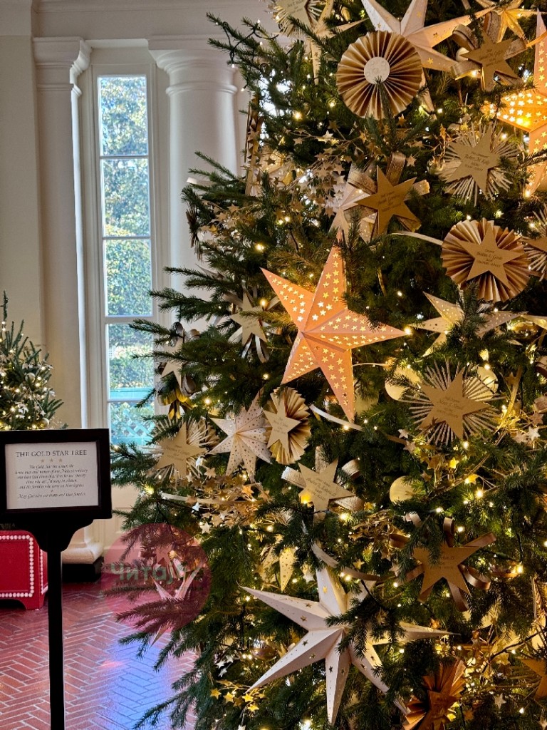 Ексклузивна репортажа на Читај бе - Божиќната магија во Белата куќа во Вашингтон 28 ivan 20