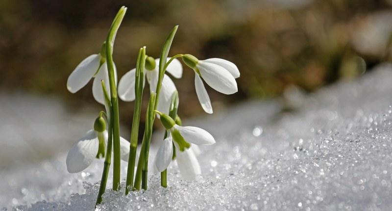 spring 1166564 1280