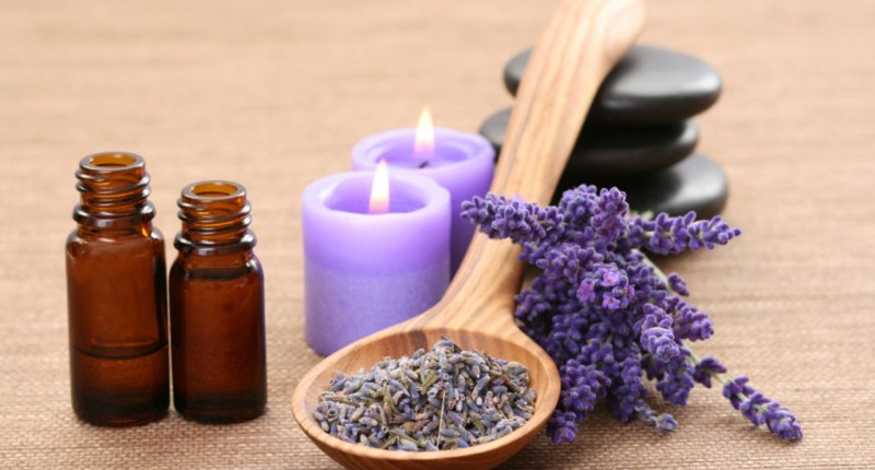 lavender 5562278 1280