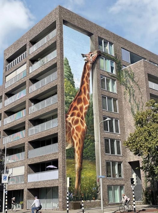 Фантастични мурали кои предизвикуваат воодушевување 3 456057097 533963172464098 4609661341794356775 n