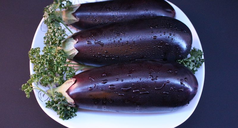 Модриот патлиџан и сите негови лековити својства 1 vegetables 4752782 1280