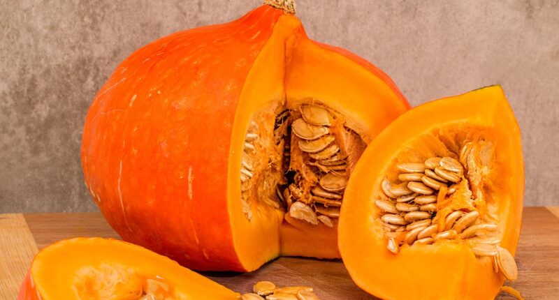 pumpkin 3360793 1280