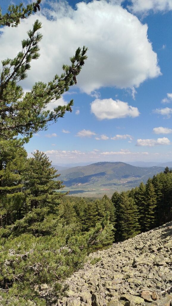 (Фото) Утринска прошетка низ пелистерските убавини 3 pelister 07