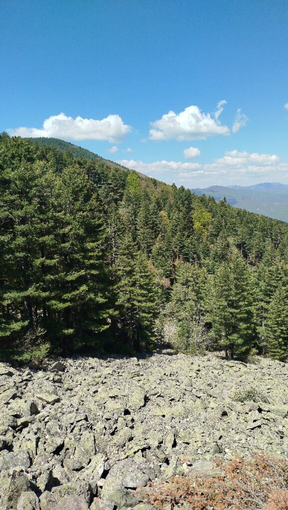 (Фото) Утринска прошетка низ пелистерските убавини 4 pelister