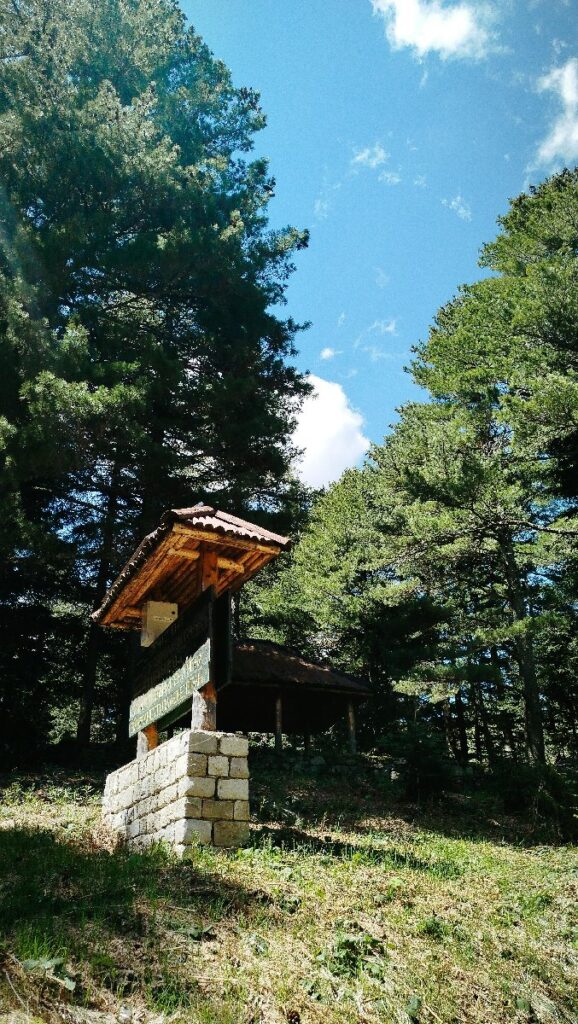 (Фото) Утринска прошетка низ пелистерските убавини 17 pelister 13