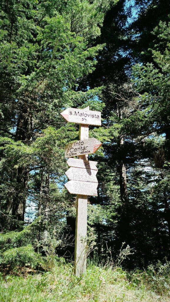 (Фото) Утринска прошетка низ пелистерските убавини 18 pelister 14