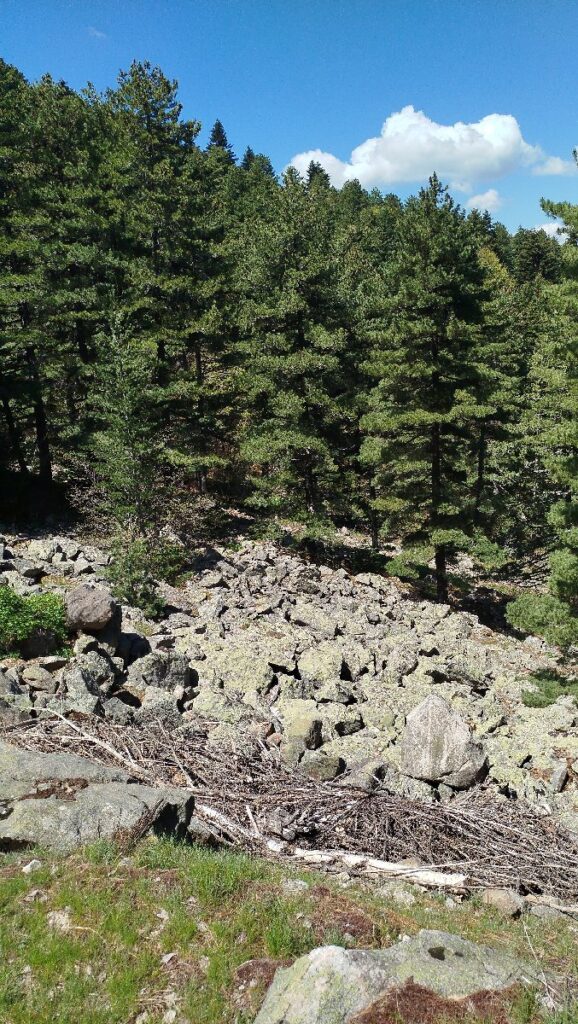 (Фото) Утринска прошетка низ пелистерските убавини 5 pelister 2