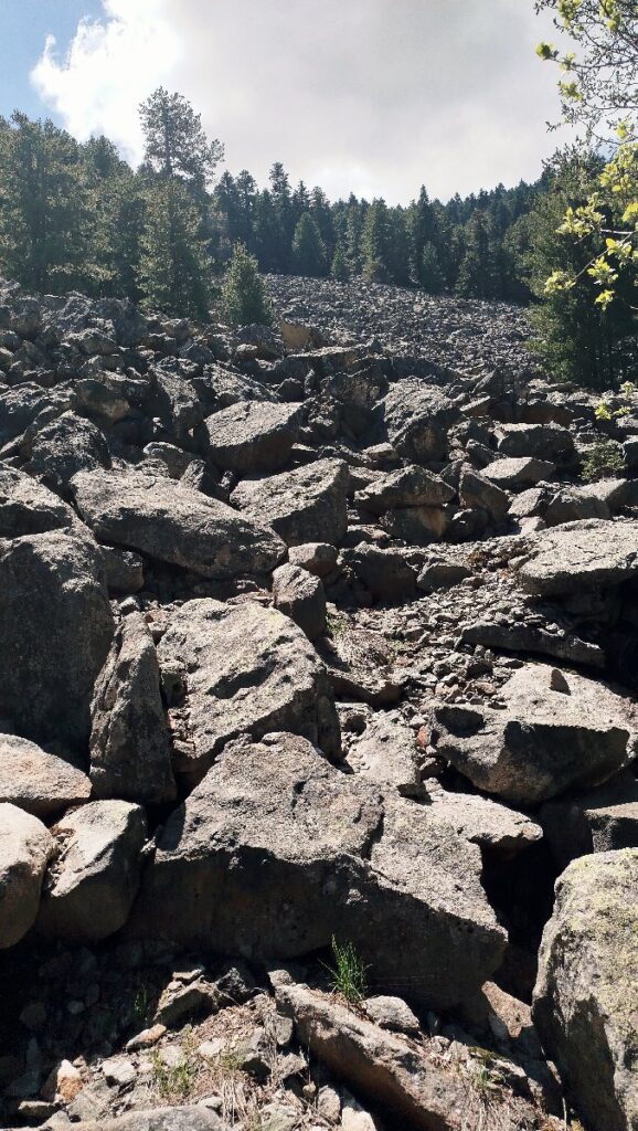 (Фото) Утринска прошетка низ пелистерските убавини 6 pelister 3