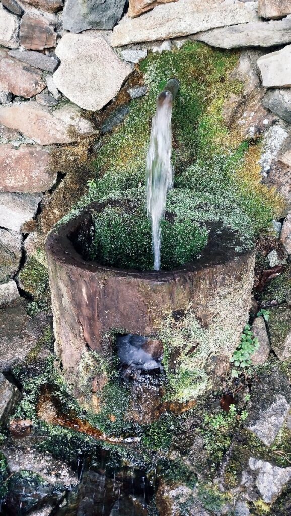 (Фото) Утринска прошетка низ пелистерските убавини 7 pelister 4