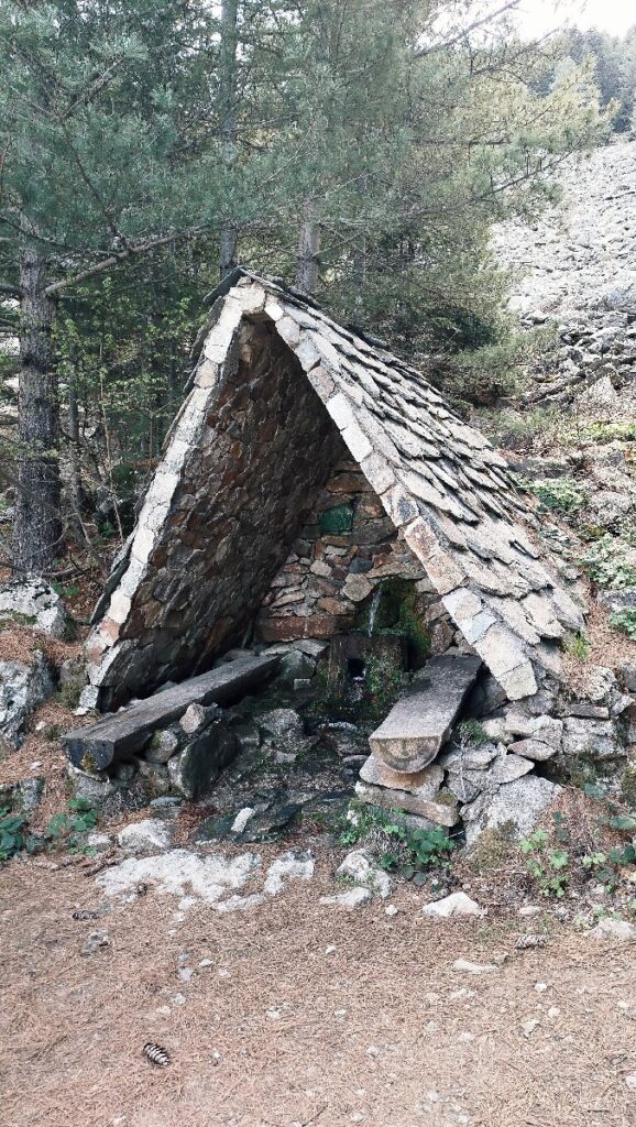 (Фото) Утринска прошетка низ пелистерските убавини 9 pelister 5