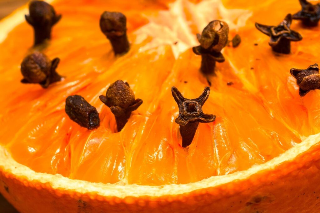Каранфилче – природен лек во вашата кујна 3 peppered orange 1272050 1280