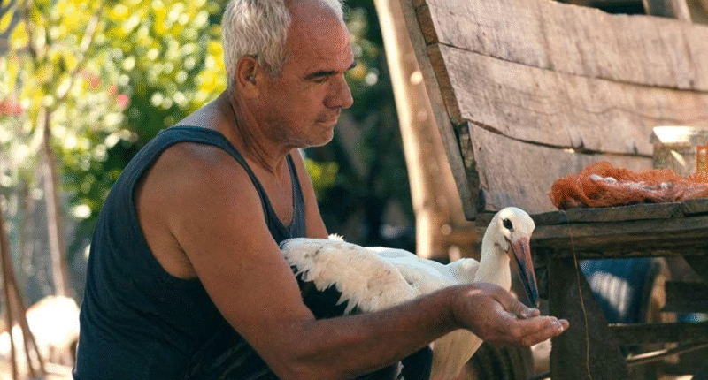 Screenshot 2025 09 09 131155