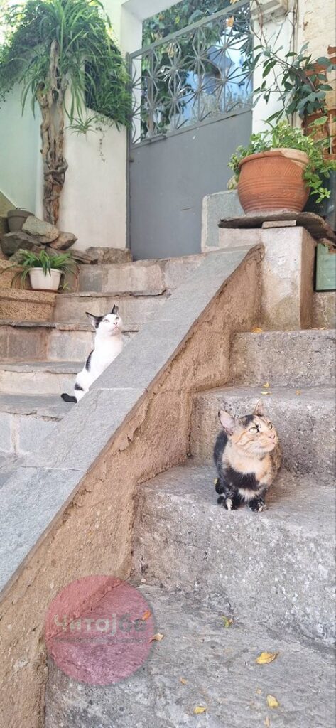 Кавала и Тасос – две дестинации, едно незаборавно патување 16 kavala 10